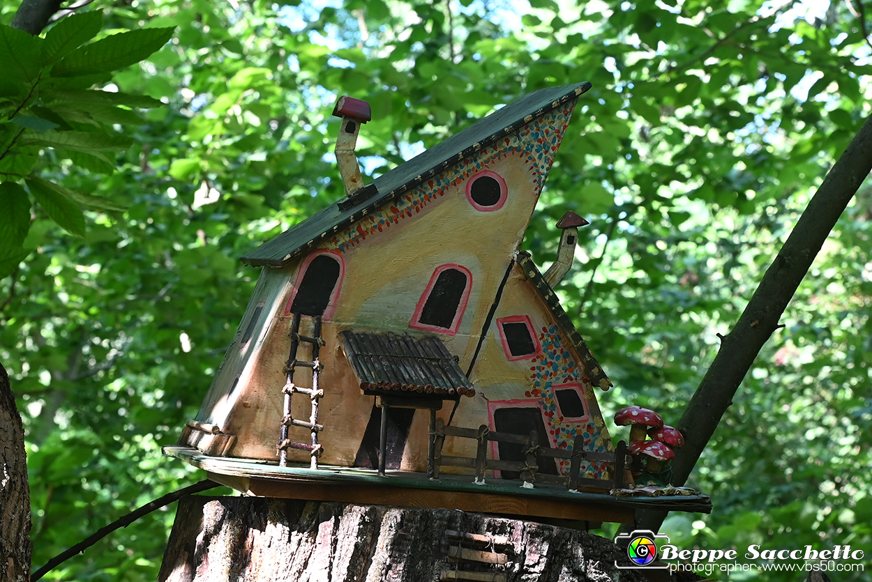 VBS_4827 - Il bosco fatato - Montaldo Roero.jpg